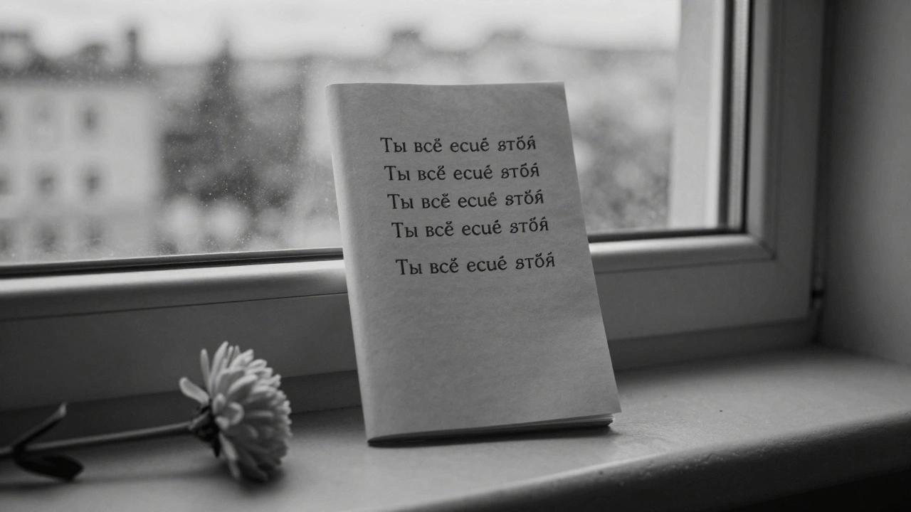 Маленькая книга с фразой &#039;Ты всё ещё здесь&#039; на подоконнике больницы.